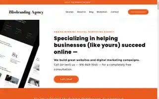 Blissbranding.com Screenshot 2024-06-15 01:27:20