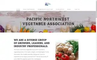 Pnva.org Screenshot 2024-07-04 00:13:56