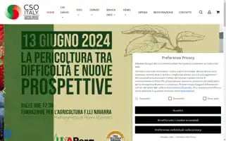Csoservizi.com Screenshot 2024-06-12 18:13:26