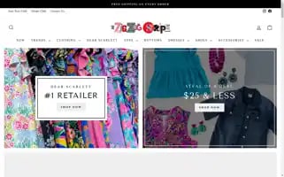 Zigzagstripe.com Screenshot 2024-04-26 09:56:14