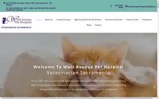 Wattavenuepethospital.com Screenshot 2024-05-15 00:15:48