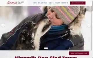 Kingmikdogsledtours.com Screenshot 2024-04-26 12:02:38