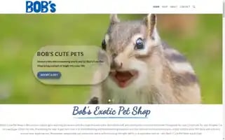 Bobscutepets.com Screenshot 2024-05-25 16:45:48
