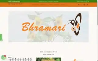 Bhramari.eu Screenshot 2024-05-03 11:33:53