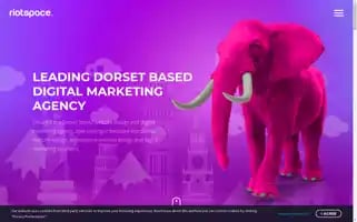 Riotspace.com Screenshot 2024-07-03 11:45:13