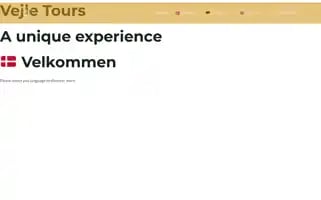 Vejletours.com Screenshot 2024-04-16 09:11:25