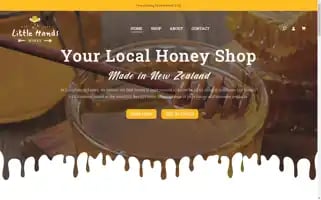 Littlehandshoney.co.nz Screenshot 2024-05-20 14:13:03