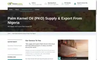 Cibanglobal.com Screenshot 2024-05-28 09:49:25