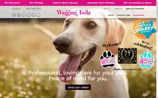Waggingtails.com Screenshot 2024-05-14 23:20:39