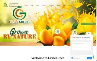 Circlegreencg.com Screenshot 2024-05-24 06:56:31