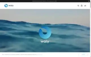 Wewaly.com Screenshot 2024-04-27 16:15:34