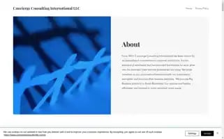 Conciergeconsultingllc.com Screenshot 2024-06-27 06:00:10