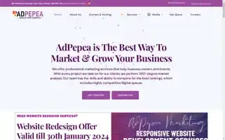 Adpepea.com Screenshot 2024-06-18 21:10:45