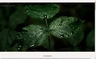 Maariegibert.fr Screenshot 2024-06-15 00:35:59