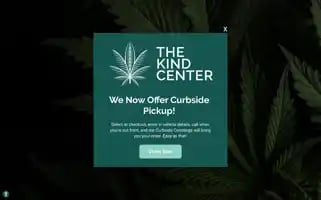 Thekindcenter.com Screenshot 2024-06-12 14:38:15