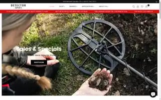 Detectorexperts.com Screenshot 2024-05-09 09:35:17