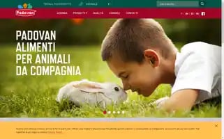 Padovanpetfood.com Screenshot 2024-06-29 07:31:06