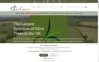 Olivegroveoundle.co.uk Screenshot 2024-06-12 20:44:47