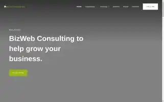 Bizwebconsulting.com Screenshot 2024-06-30 06:36:38