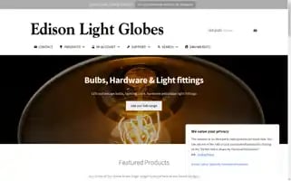 Edisonlightglobes.com Screenshot 2024-05-09 13:03:36