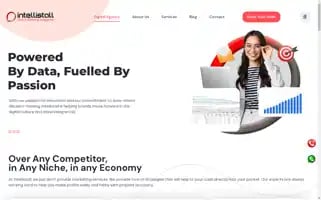 Intellistall.com Screenshot 2024-06-15 07:33:14