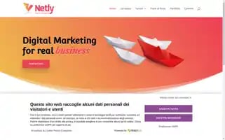 Netly.it Screenshot 2024-07-01 11:24:22