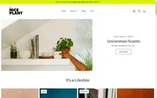 Theniceplant.com Screenshot 2024-05-04 21:11:41