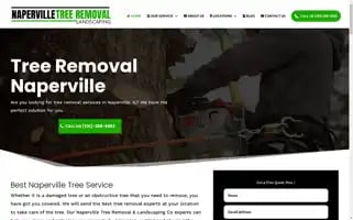 Napervilletreeremovallandscapingsnow.com Screenshot 2024-07-04 01:41:03