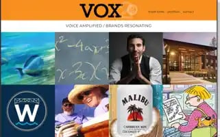 Voxsquared.com Screenshot 2024-07-07 00:32:43