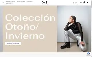 Noistudiochile.com Screenshot 2024-05-28 08:57:42