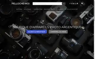 Pellochemoi.com Screenshot 2024-05-23 23:10:50