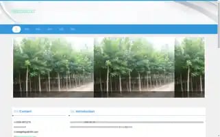 Wsxncxyls.com Screenshot 2024-07-08 01:00:24