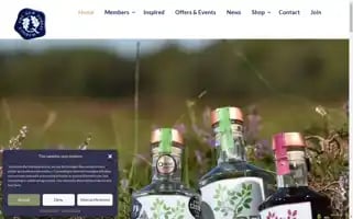 Newforestmarque.co.uk Screenshot 2024-07-02 10:46:08