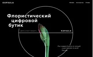Kapsulaflowers.ru Screenshot 2024-06-16 01:08:52