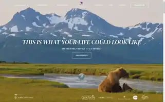 Silverwingtravel.com Screenshot 2024-04-18 14:02:41