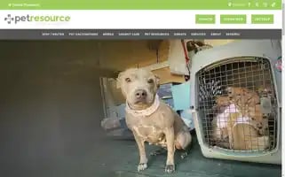 Prckc.org Screenshot 2024-07-04 02:28:08
