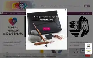 Amiqs.pl Screenshot 2024-07-08 18:15:06