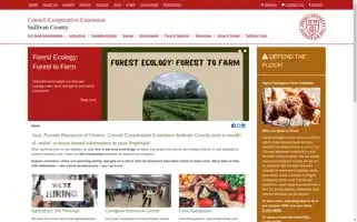 Sullivancce.org Screenshot 2024-07-03 12:45:20