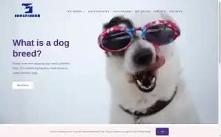 Idogfinder.com Screenshot 2024-05-22 05:37:52