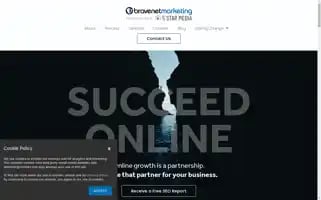 Bravenetmarketing.com Screenshot 2024-07-06 14:02:47