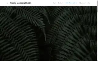 Galeriaherran.com Screenshot 2024-05-24 18:25:23