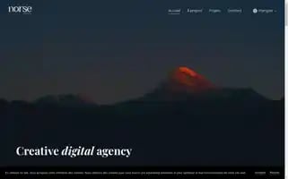 Norse-agency.fr Screenshot 2024-06-16 19:36:31