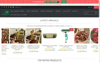 Bonsaitree.co.za Screenshot 2024-05-05 14:57:01