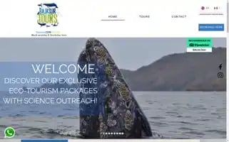 Bajasurtours.com Screenshot 2024-04-22 20:49:33