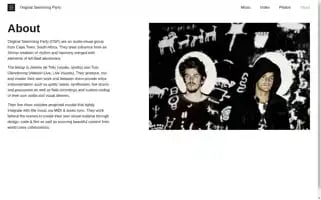 Originalswimmingparty.com Screenshot 2024-06-28 19:48:28