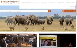 Africamediaonline.com Screenshot 2024-06-29 15:39:13