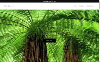 Thecavers-ltd.com Screenshot 2024-04-27 10:39:57