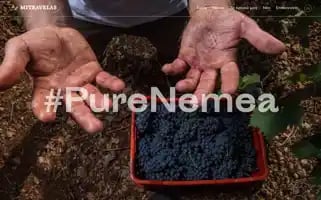 Mitravelas.gr Screenshot 2024-04-15 03:18:58