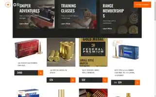 Visionammo.com Screenshot 2024-06-18 18:39:09