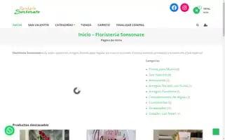 Floristeriasonsonate.com Screenshot 2024-05-17 04:57:09